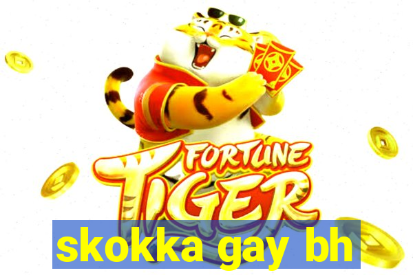 skokka gay bh